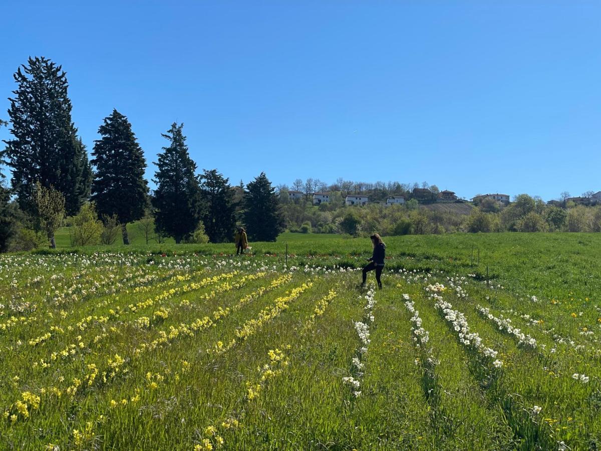 Il Casale Denari - Tenuta Duca Denari *